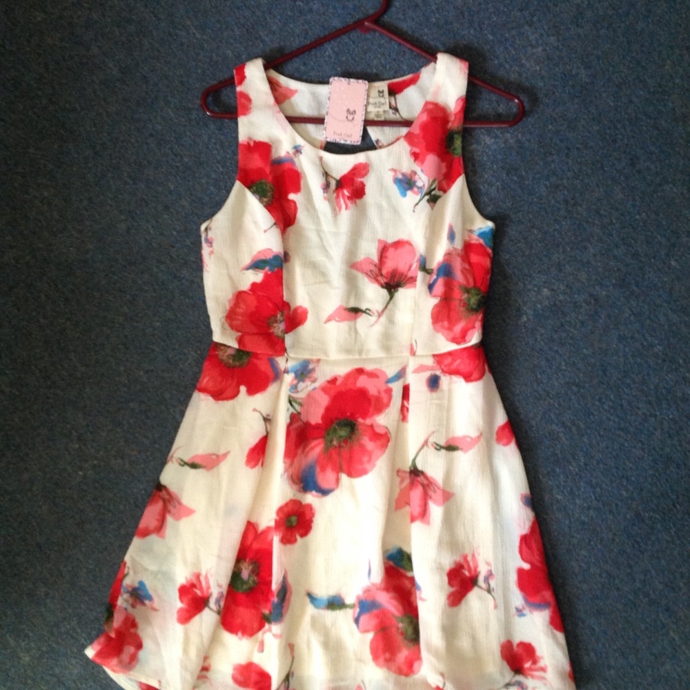 Pink Owl Modcloth Spring Floral Dress NWT M